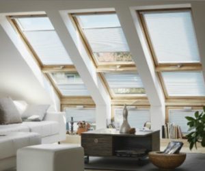 Windows and Doors